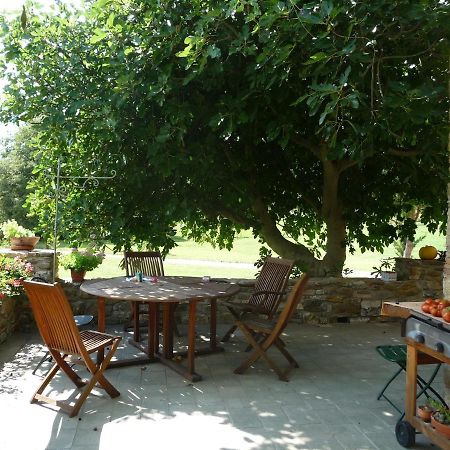 Podere Pian Di Cava Castelnuovo di Val di Cecina Kültér fotó