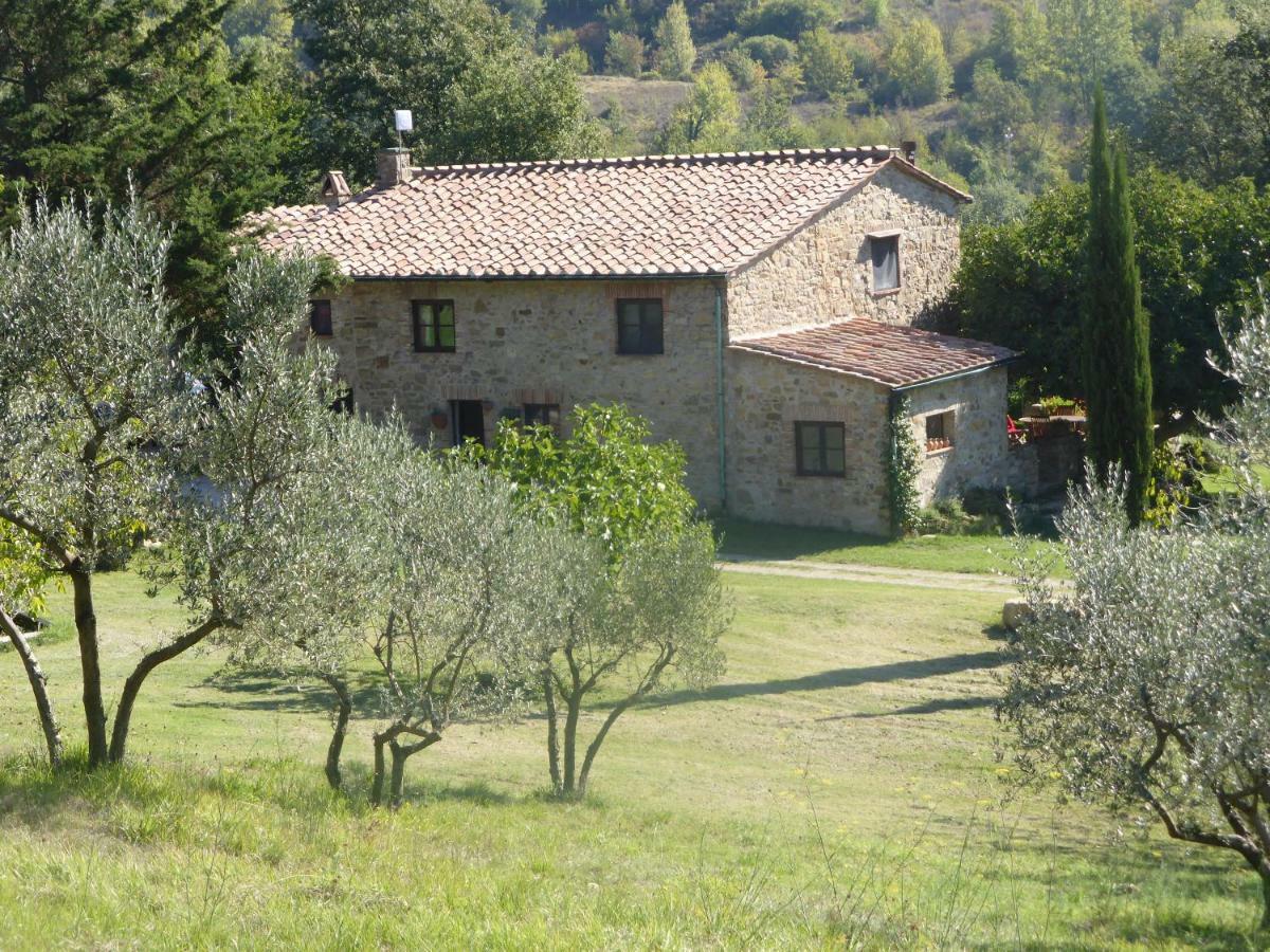 Podere Pian Di Cava Castelnuovo di Val di Cecina Kültér fotó