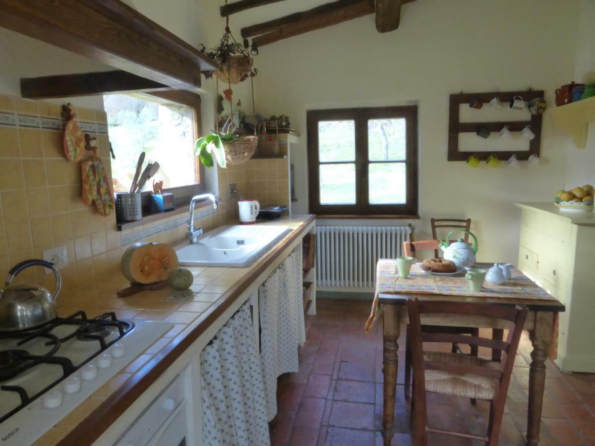 Podere Pian Di Cava Castelnuovo di Val di Cecina Kültér fotó