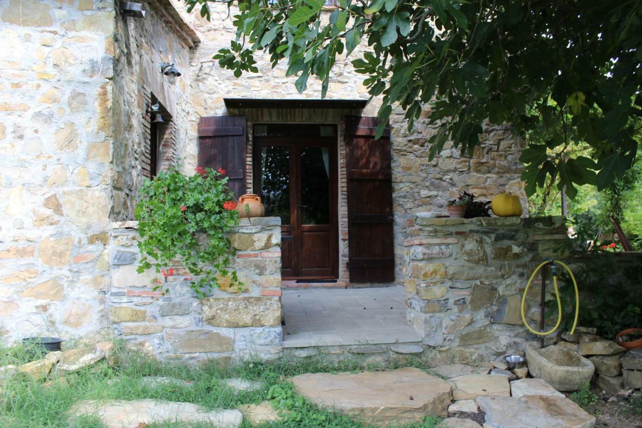 Podere Pian Di Cava Castelnuovo di Val di Cecina Kültér fotó