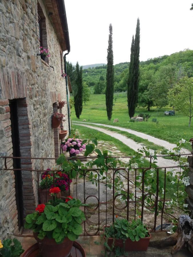 Podere Pian Di Cava Castelnuovo di Val di Cecina Kültér fotó